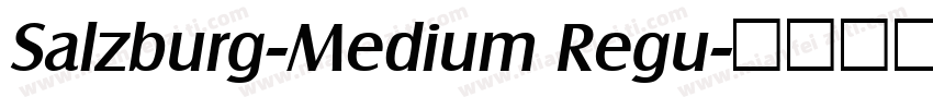 Salzburg-Medium Regu字体转换